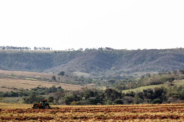 Alvinlandia San Paolo Brasile Maggio 2019 Agricoltore Aratri Con Suo — Foto Stock