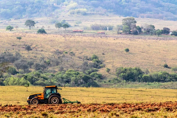 Alvinlandia Sao Paulo Brezilya Mayıs 2019 Çiftçi Marilia Nın Sao — Stok fotoğraf