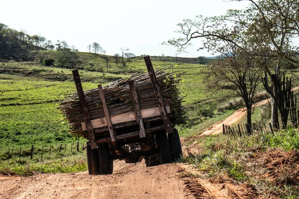 Trattore Che Trasporta Piantine Manioca Strada Campagna Brasile — Foto Stock