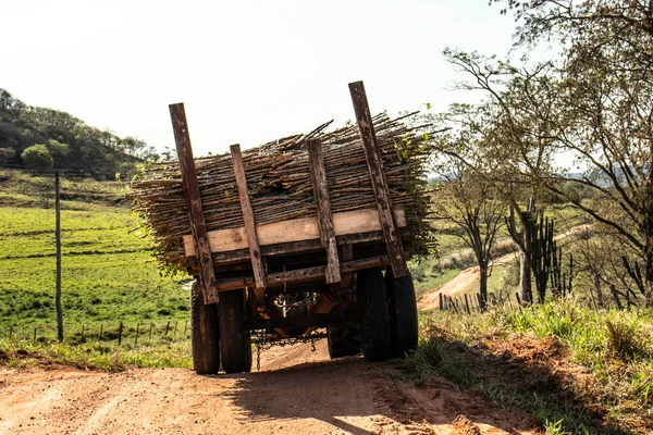 Trattore Che Trasporta Piantine Manioca Strada Campagna Brasile — Foto Stock