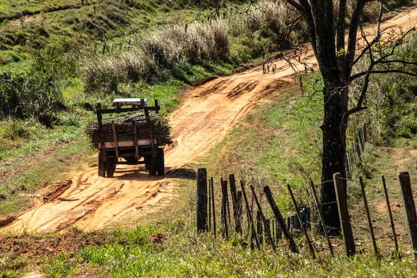 Trattore Che Trasporta Piantine Manioca Strada Campagna Brasile — Foto Stock