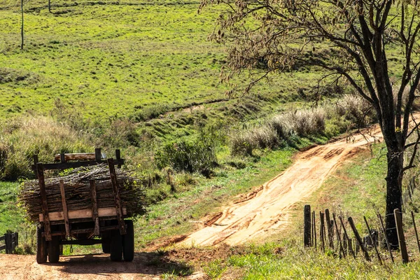 Tractor Transporting Cassava Seedlings Country Road Brazil — Stock Photo, Image