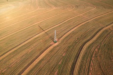 Aerial view from drone of little peanut plant in field and high voltage tower in Brazil