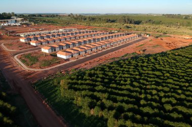 Sao Paulo Eyaleti 'nin kahve tarlasıyla çevrili standart popüler evlerin hava manzarası.,