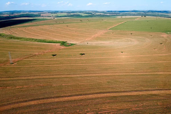 Vista Aérea Desde Dron Pequeña Planta Cacahuete Campo Torre Alto — Foto de Stock