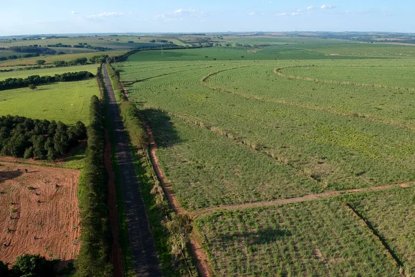 Aerial view of sugar cane field, pasture and country road in Brazil