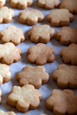 Buğday unundan, şekerden ve tereyağından yapılmış tereyağlı kurabiyeler.