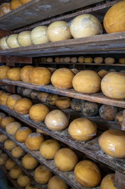 Brezilya 'da tanıdık bir endüstride olgun mahzende peynir