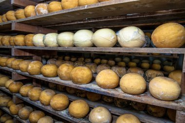 Brezilya 'da tanıdık bir endüstride olgun mahzende peynir