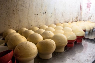 Brezilya 'da tanıdık bir endüstride olgun mahzende peynir