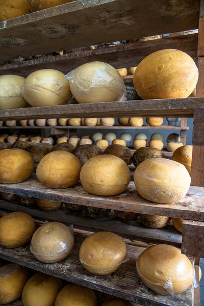 ブラジルのおなじみの業界で熟成セラーでチーズ — ストック写真