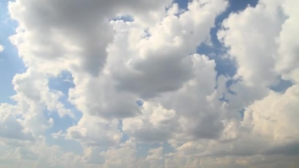 Lucht in beweging (2 korte clips) — Stockvideo