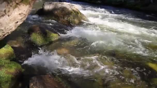 Altaï rivière de montagne 