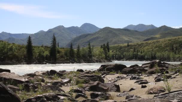 Altai Mountain River — Stock Video