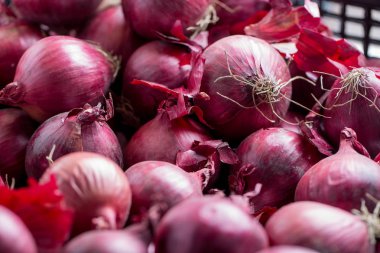 sepet içinde birçok kırmızı soğan yakın çekim