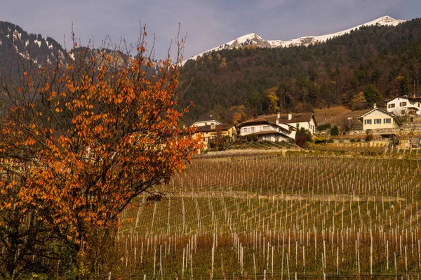 Yvorne, vaud, suíço — Fotografia de Stock