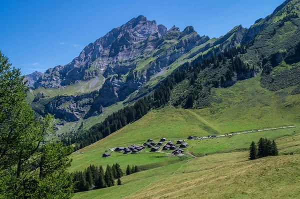 Vaud İsviçre'taveyanna — Stok fotoğraf