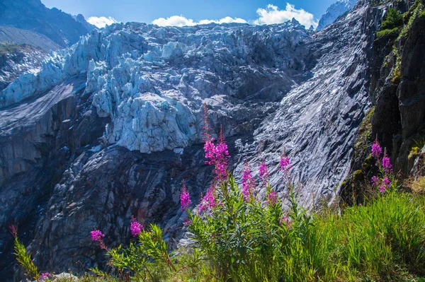 Lodowca argentiere, chamonix, Sabaudii, Francja — Zdjęcie stockowe