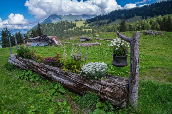 Bretaye, vaud, swiss — стоковое фото