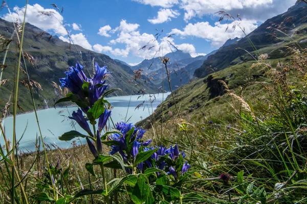dam mauvoisin,valais,swiss