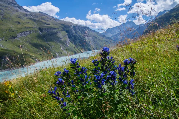 dam mauvoisin,valais,swiss