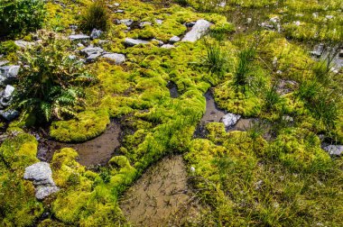 charamillon, chamonix, haute savoie Gölü