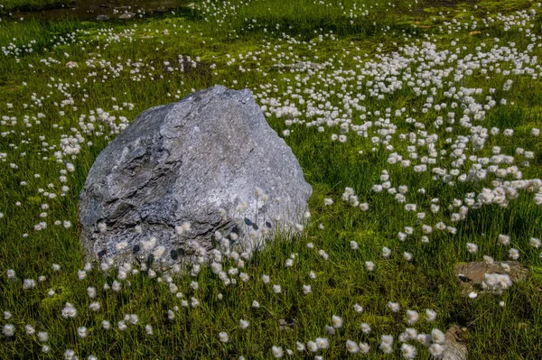 Jezioro charamillon, chamonix, Sabaudii — Zdjęcie stockowe