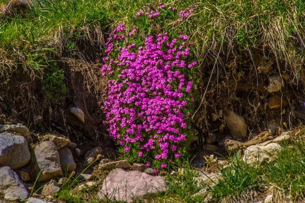 Jezioro sainte anne qeyras w departamencie hautes-alpes we Francji — Zdjęcie stockowe