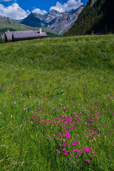 Villard ceillac en qeyras en hautes alpes en francia — Foto de Stock