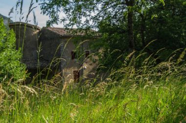 grand viopis,drome,france