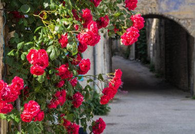 Pontaix, drome, Fransa