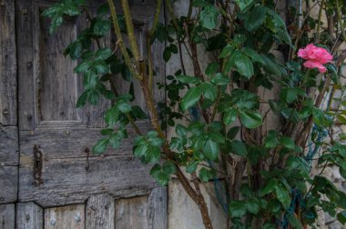 Pontaix, drome, Fransa