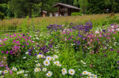  Montroc, chamonix, haute savoie, Fransa
