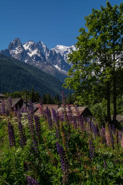 Trelechamp, chamonix, haute savoie, Franciaország — Stock Fotó