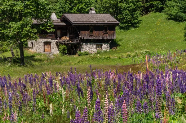 Trelechamp, chamonix, haute savoie, frança — Fotografia de Stock