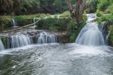  Charmine, samognat, ain, France