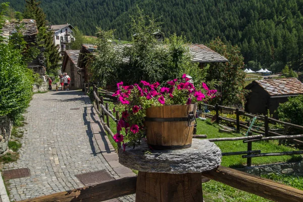 Chamois Val Aoste Talya — Stok fotoğraf