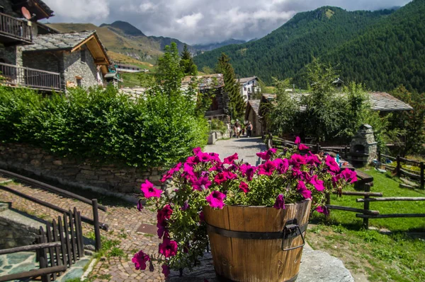 Chamois Val Aoste Italy — стоковое фото