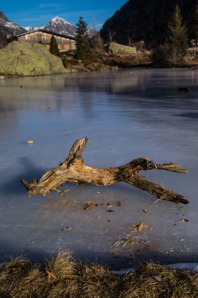 Lago congelado con madera muerta en los Alpes franceses — Foto de Stock