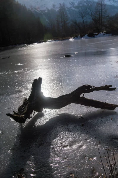 Lago congelado con madera muerta en los Alpes franceses — Foto de Stock