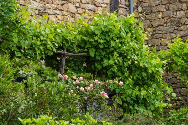 Peyrot, beaumont, ardeche, francia — Foto de Stock