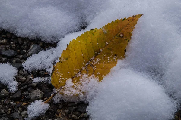 Montroc, chamonix, haute savoie, Franciaország — Stock Fotó