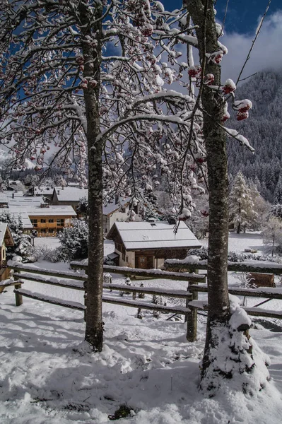 Trelechamps, Chamonix, Haute Savoie, Frankreich — Stockfoto