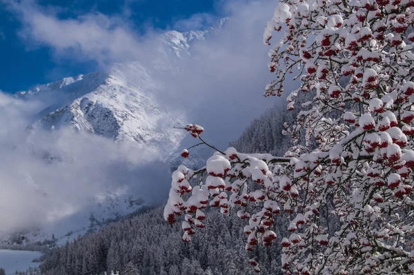 Trelechamps, chamonix, haute savoie, Frankrike — Stockfoto