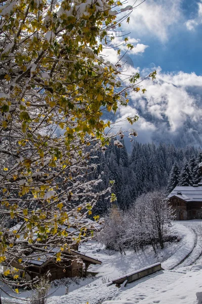 Trelechamps, chamonix, haute savoie, Francja — Zdjęcie stockowe