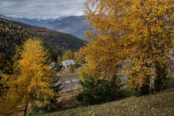 Jesień w regionie Alpy Włoskie — Zdjęcie stockowe