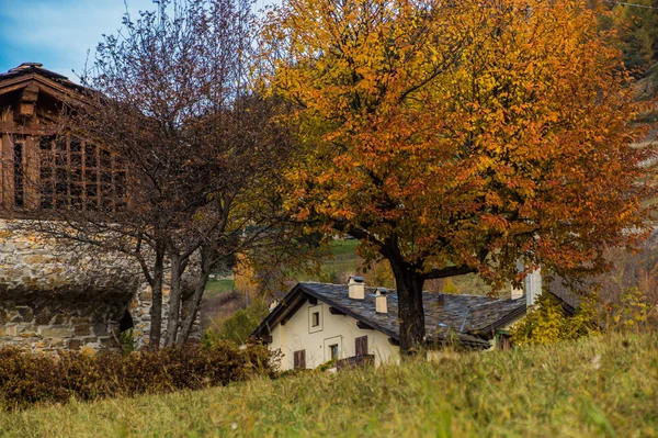 秋天在意大利阿尔卑斯 — 图库照片