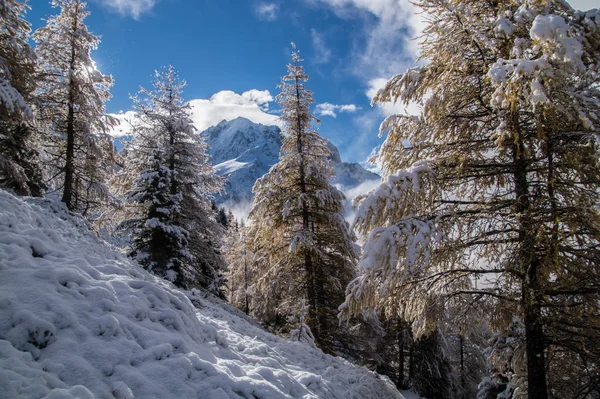 Осень и зима во французских Альпах — стоковое фото