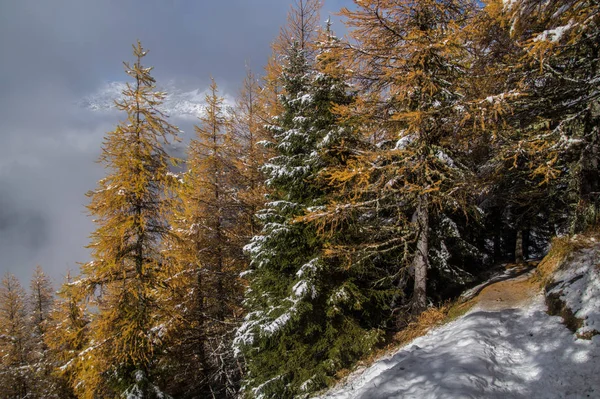 Outono e inverno nos alpes franceses — Fotografia de Stock