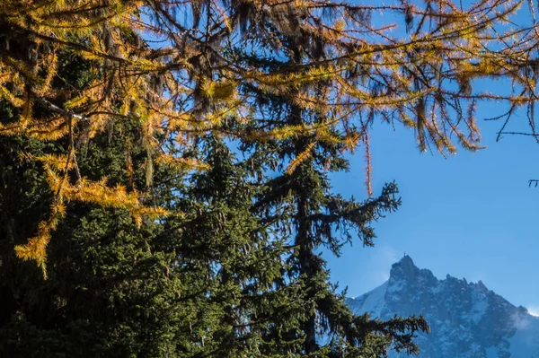 Herbst in den französischen Alpen — Stockfoto